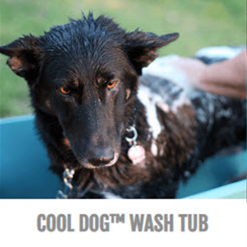 CAD Drawings BIM Models Gyms For Dogs™ Cool Dog™ Wash Tub